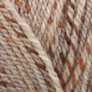 Stylecraft Colour Twist DK - 100g